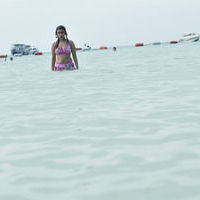 Payal Ghosh hot n spicy bikini gallery | Picture 71892